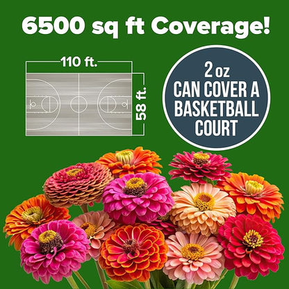 🌸 SeedHeaven Zinnia Flower Seed Vault (California Giant Mix)
