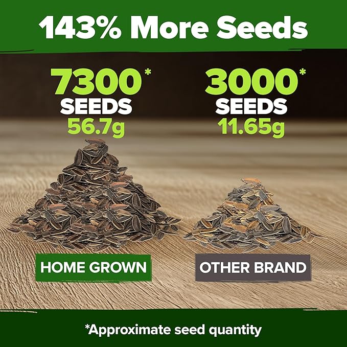 🌸 SeedHeaven Zinnia Flower Seed Vault (California Giant Mix)