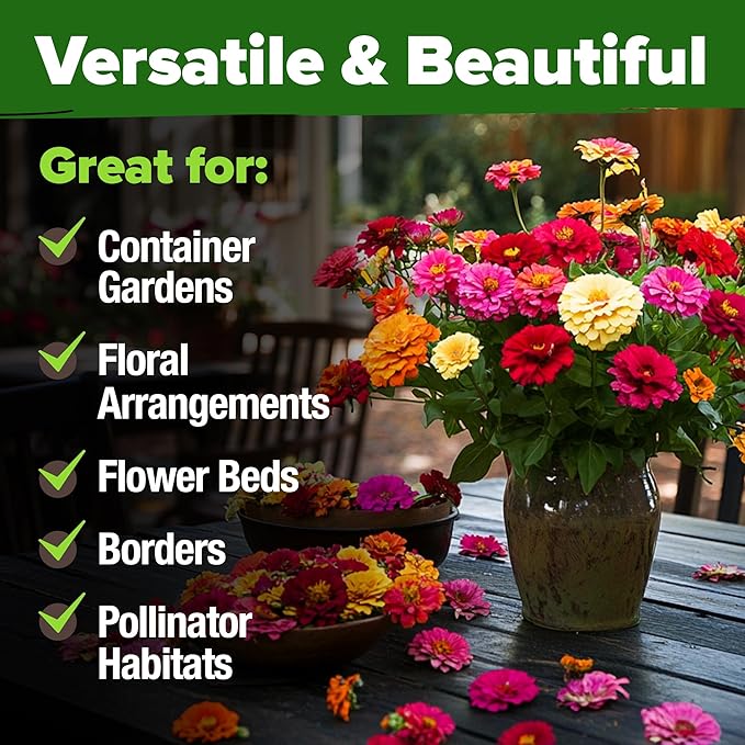 🌸 SeedHeaven Zinnia Flower Seed Vault (California Giant Mix)
