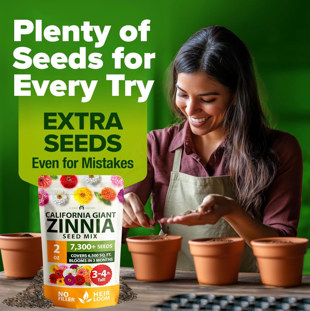 🌸 SeedHeaven Zinnia Flower Seed Vault (California Giant Mix)